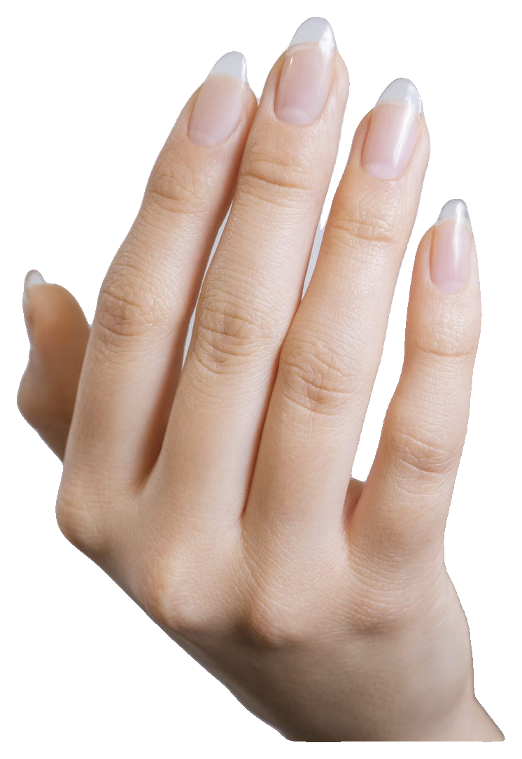 Gelish Brush-On Builder Clear, 0.5 fl. oz. (5)