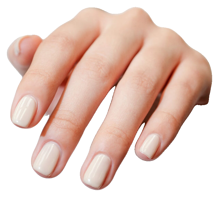 Gelish Brush-On Builder Ivory Nude, 0.5 fl. oz. (4)