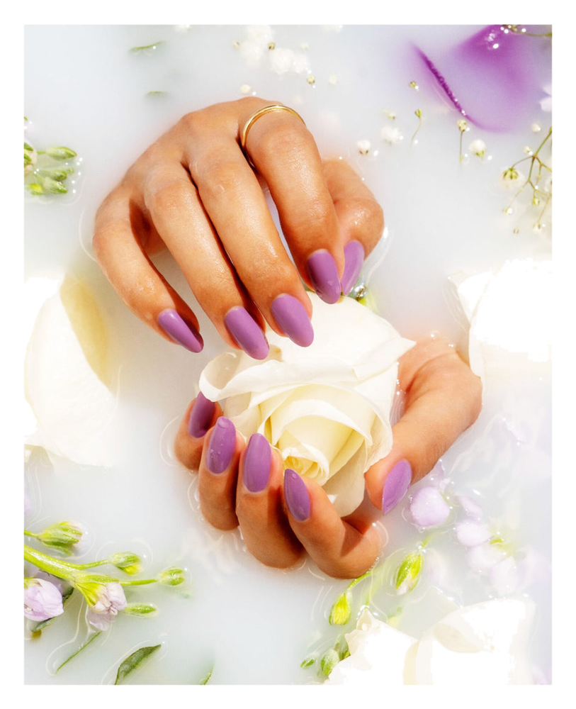 Malva (4)