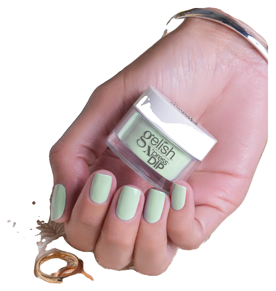 Mint Chocolate Chip (6)