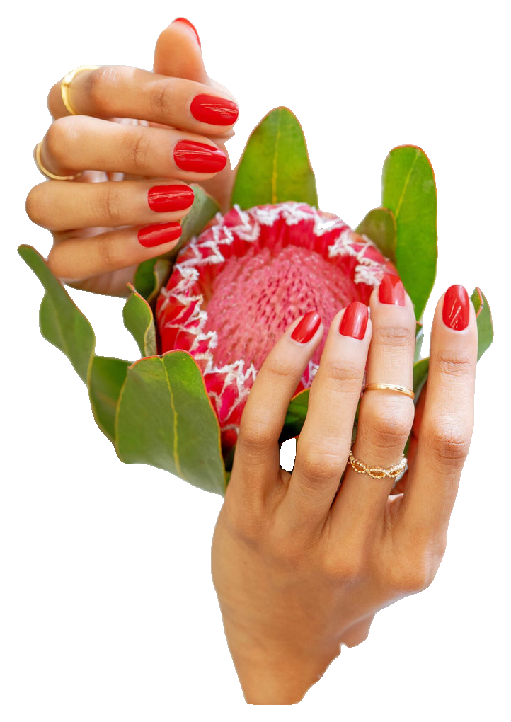Morgan Taylor Naturals Bite Of The Apple Vegan Nail Color, 15mL (3)