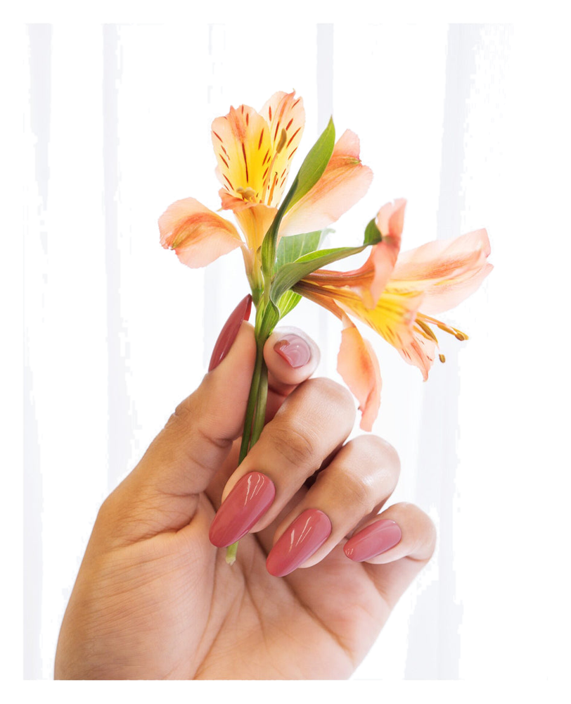 Morgan Taylor Naturals Find A Balance Vegan Nail Color, 15mL (4)